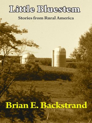 cover image of Little Bluestem